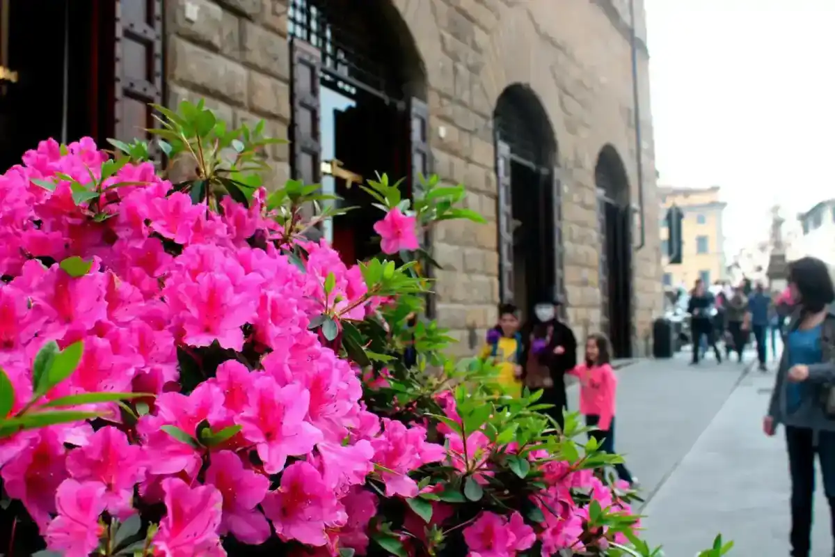 Colle di Val d'Elsa: il cristallo e la storia