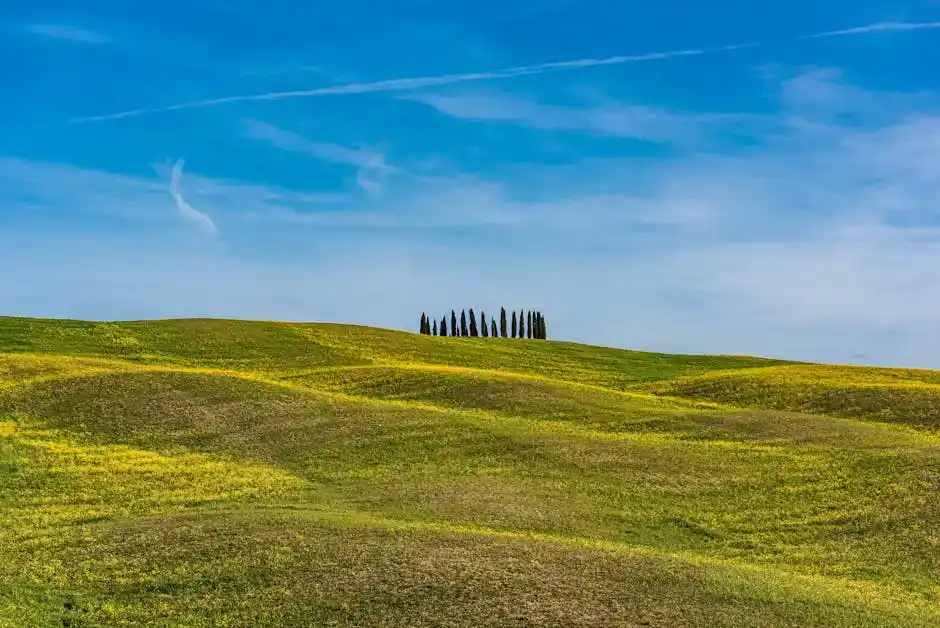 Il significato dell'evento