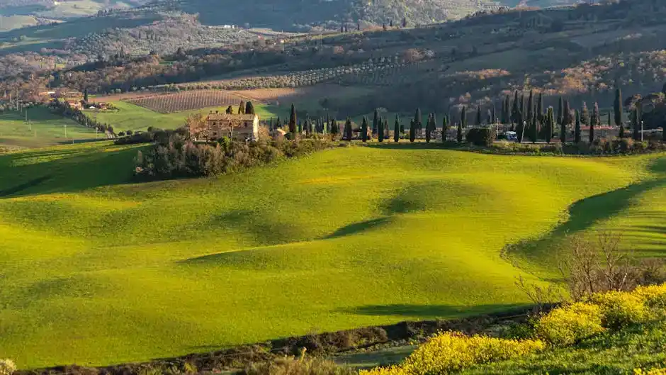 Eventi culturali e mostre d'arte