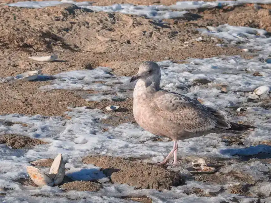 Escursioni in barca: un'esperienza da non perdere
