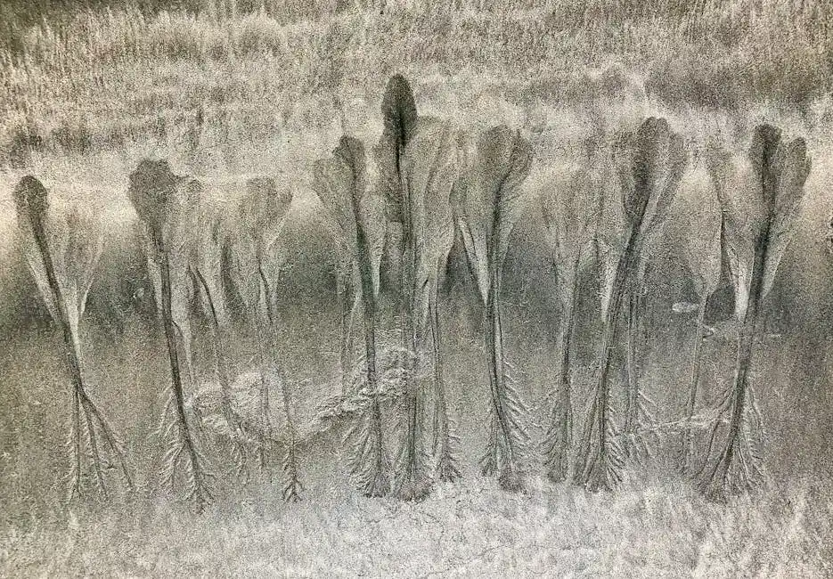 Scoperta di Baratti e Populonia