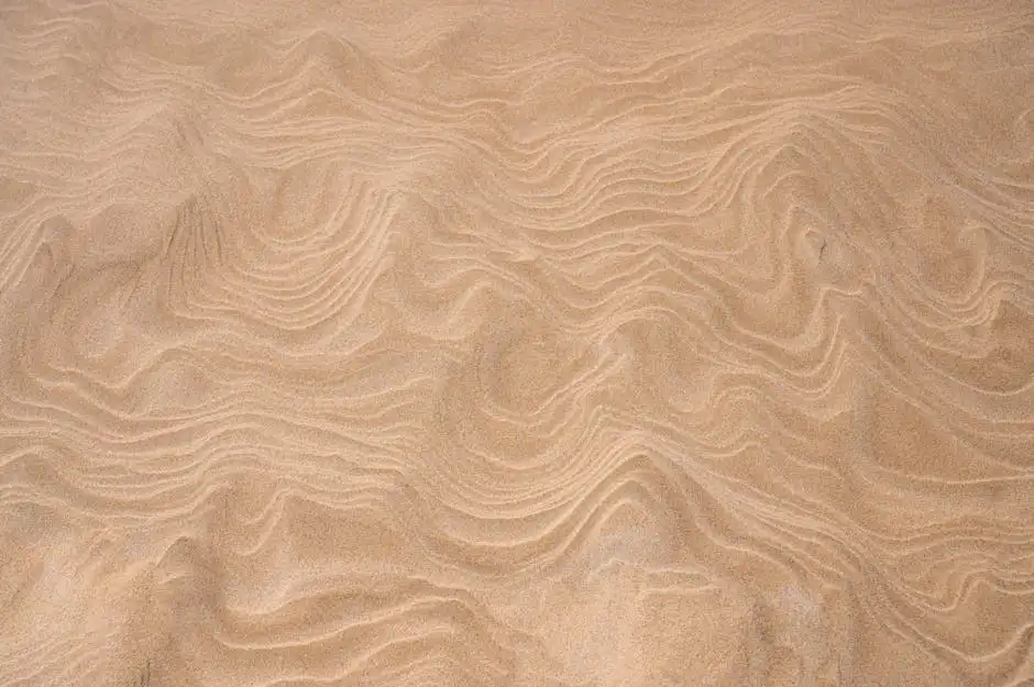 7. Spiaggia di Castiglioncello