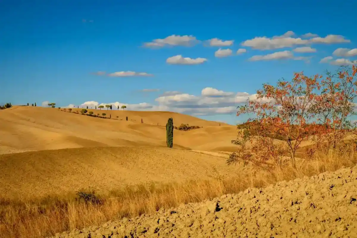 San Quirico d'Orcia: un borgo da scoprire