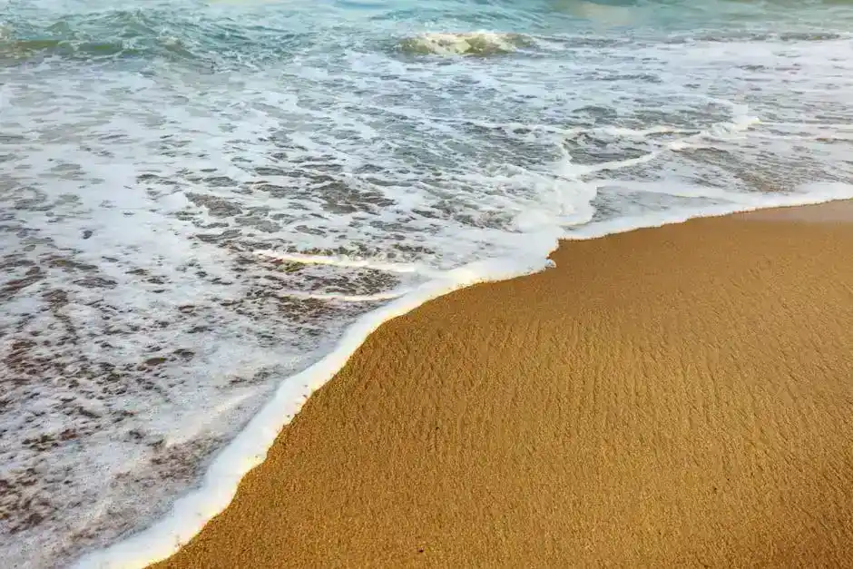 Attrezzatura e preparazione