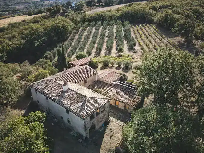 Cosa significa per chi viaggia