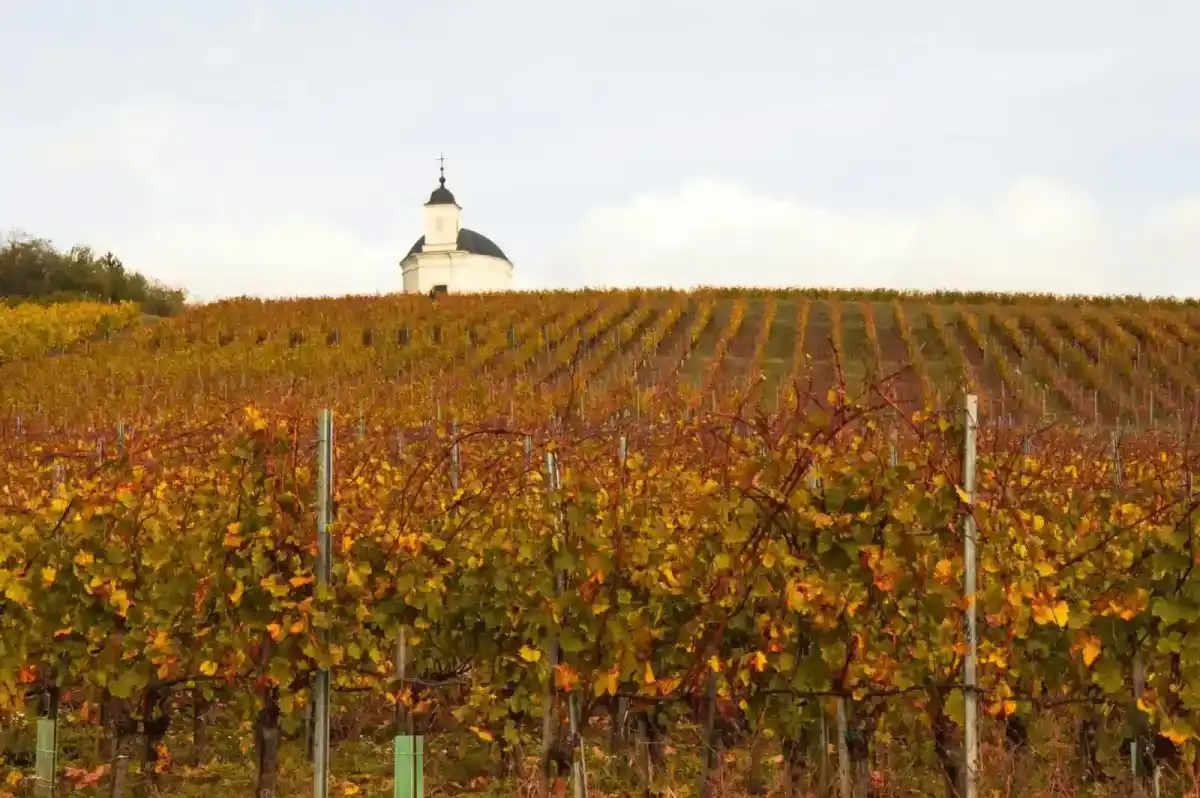 Obiettivi della digitalizzazione