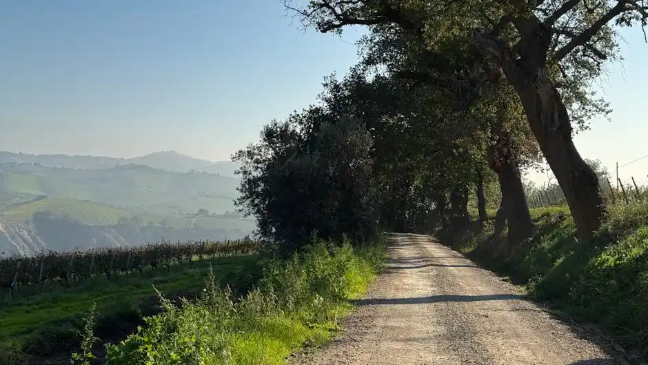 Dettagli delle Previsioni