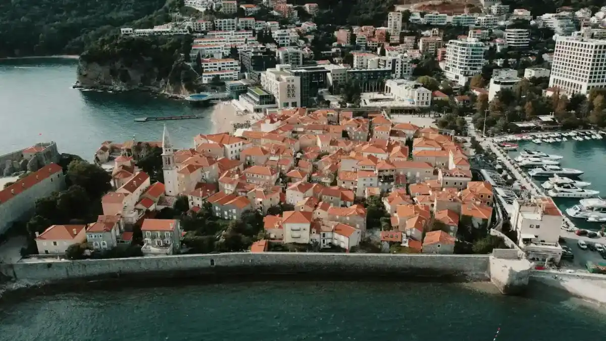 Festa della Vendemmia a Montignoso