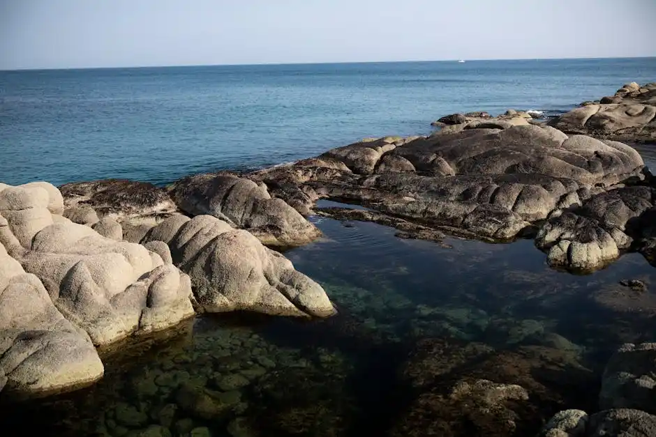 Arte e cultura: un patrimonio da scoprire