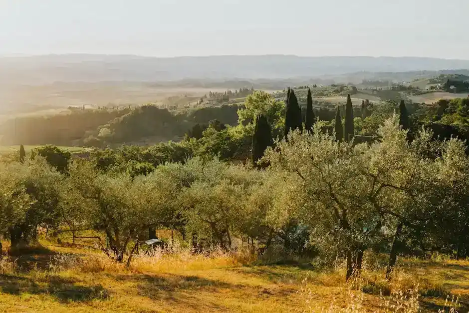 Un tuffo nella natura: escursioni e trekking