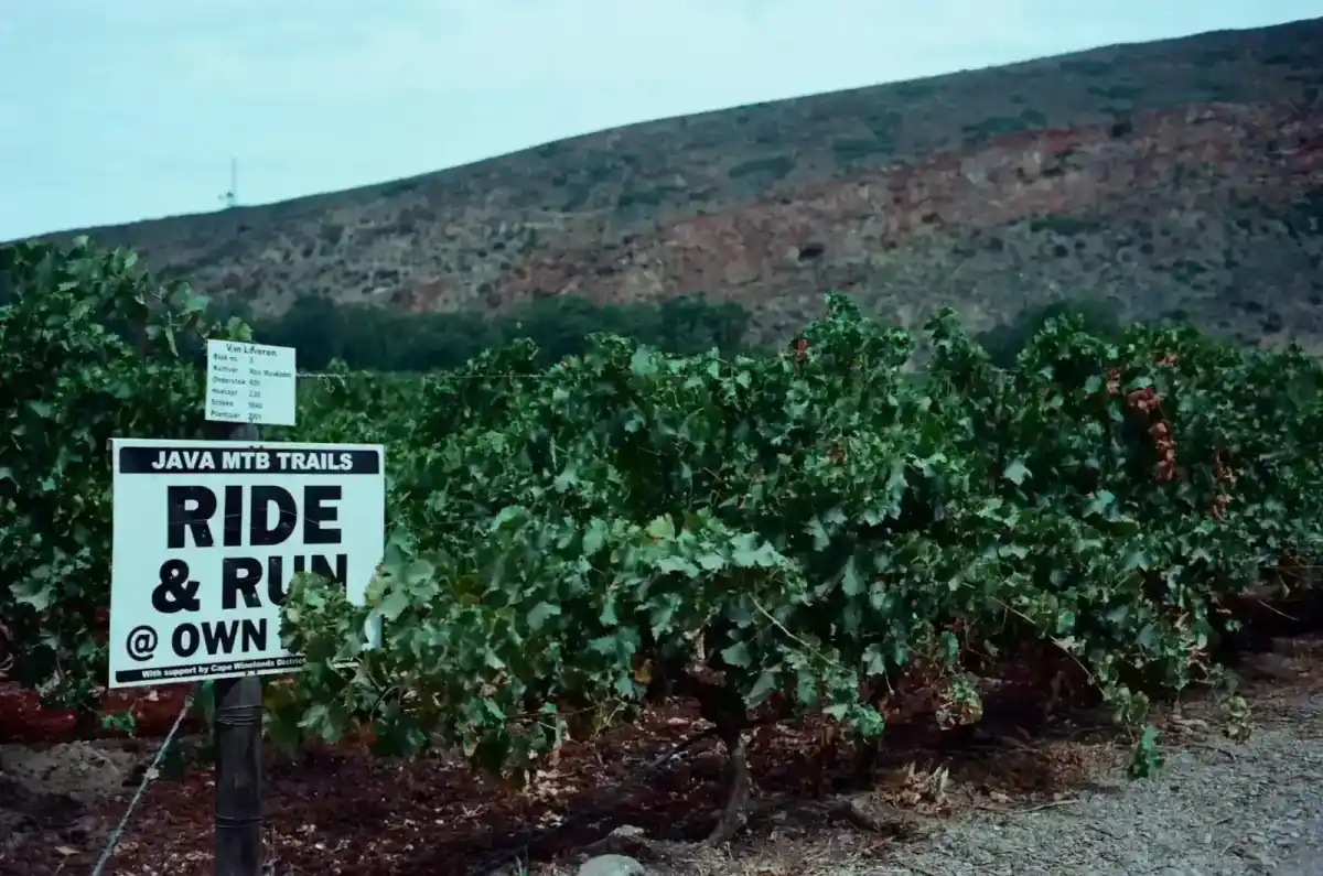 Il sentiero del Parco Artistico