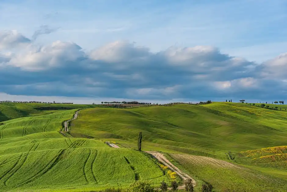 Impatto sulle Infrastrutture