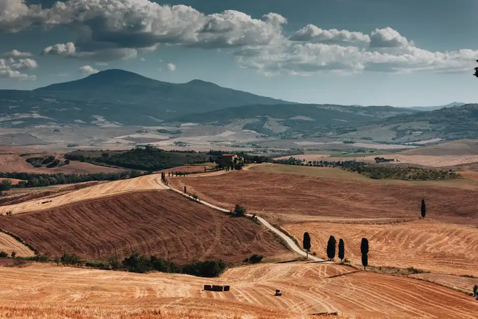 Le cantine da visitare