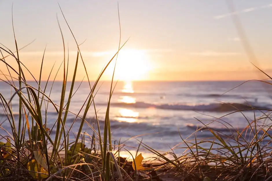 Mercato dell'Antiquariato di Pietrasanta