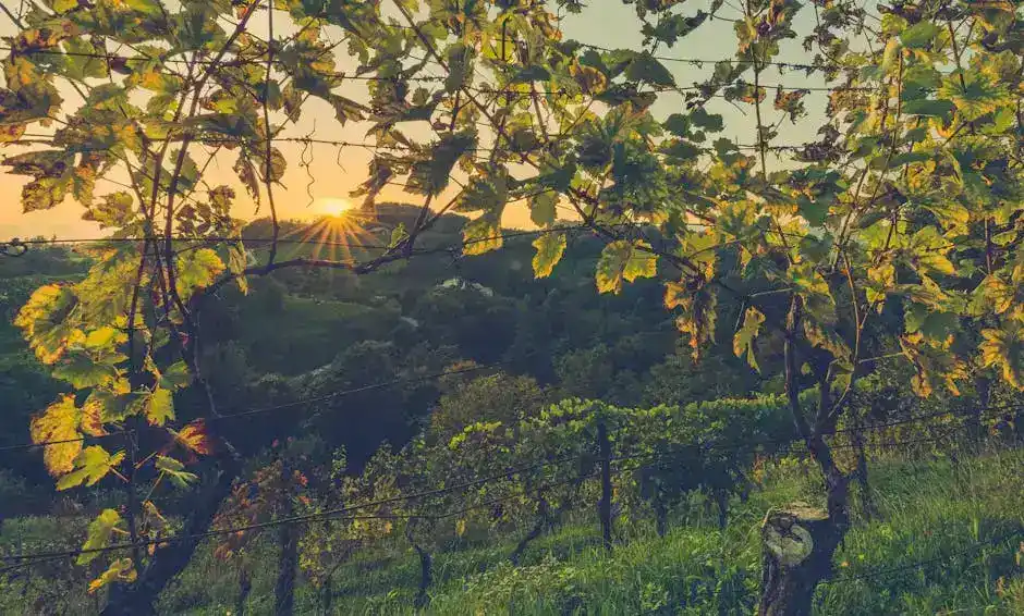 Piatti Tipici da Provare