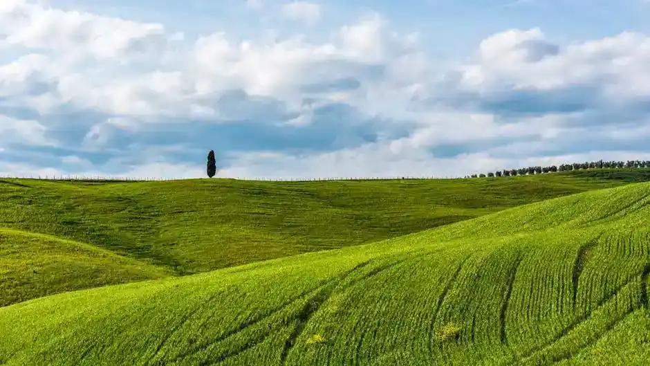 Attività all'aria aperta