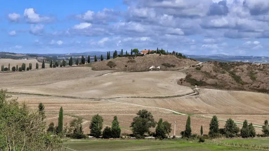 Fiesole: storia e panorami
