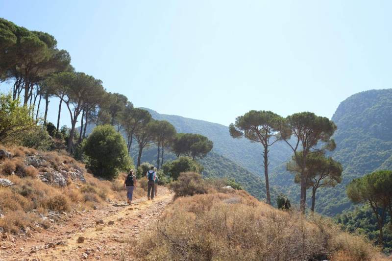 Trekking in Maremma: itinerari panoramici tra natura selvaggia e borghi antichi