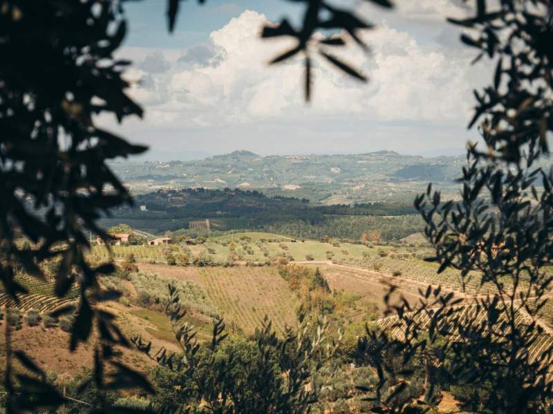 Cosa vedere sul Monte Amiata: natura, borghi e panorami tra Grosseto e Siena