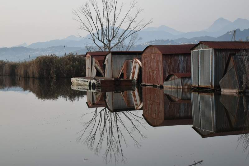 Cosa vedere al Lago di Massaciuccoli: natura, birdwatching e percorsi slow