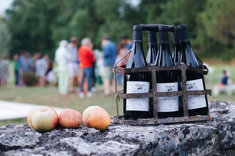 Sagre e feste gastronomiche in Versilia