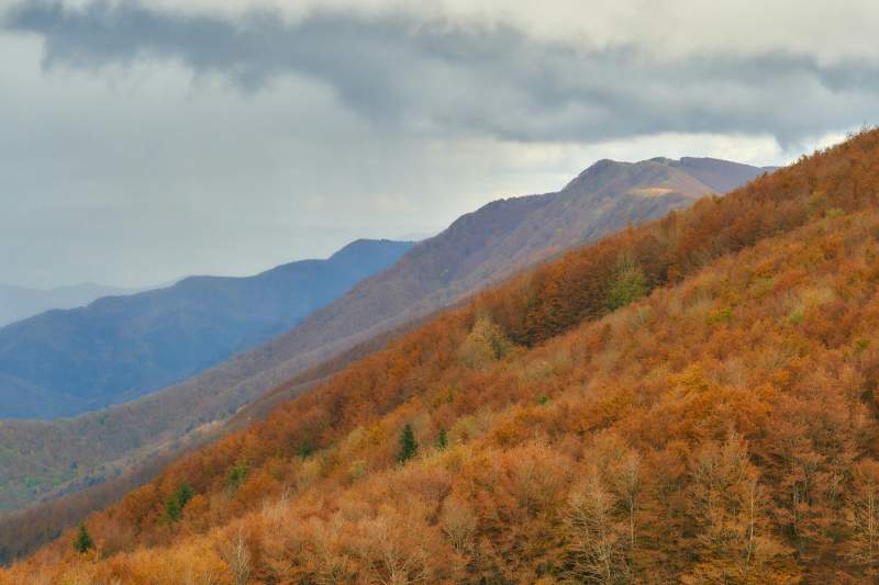 La Via di Francesco in Casentino: tappe, curiosità e consigli