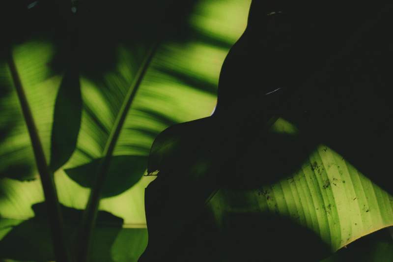 Lido di Camaiore green: piste ciclabili, pinete e passeggiate