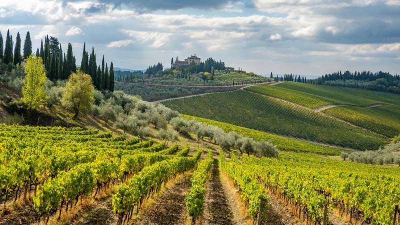 Chianti Senese: itinerari tra vigneti, castelli e borghi da cartolina