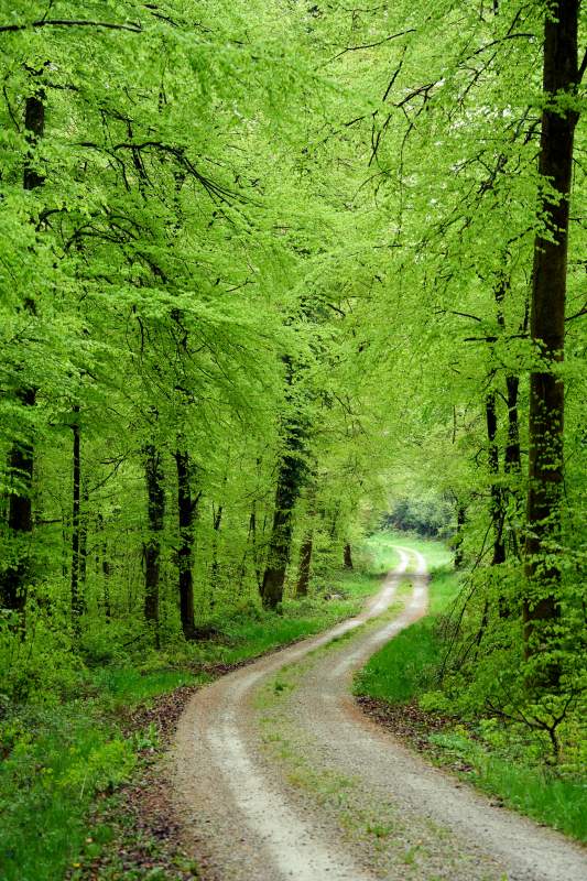 Pietrasanta green: parchi, aree verdi e percorsi slow