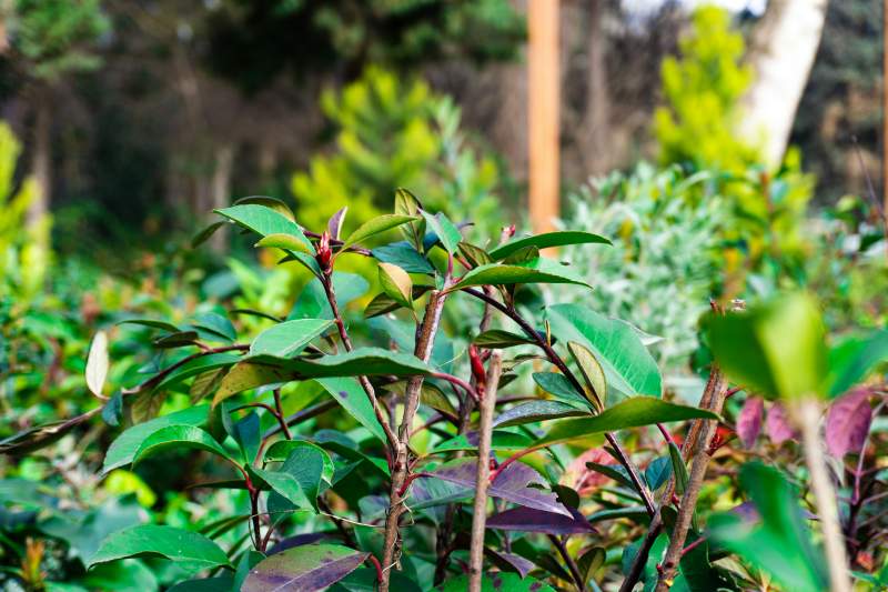 Vacanza green in provincia di Arezzo: dormire, mangiare e muoversi sostenibile